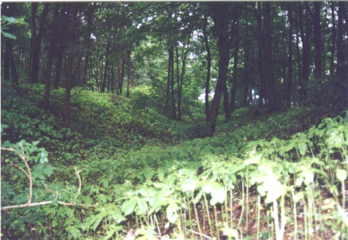 Ludéřov, svatyně - Viereckschanze